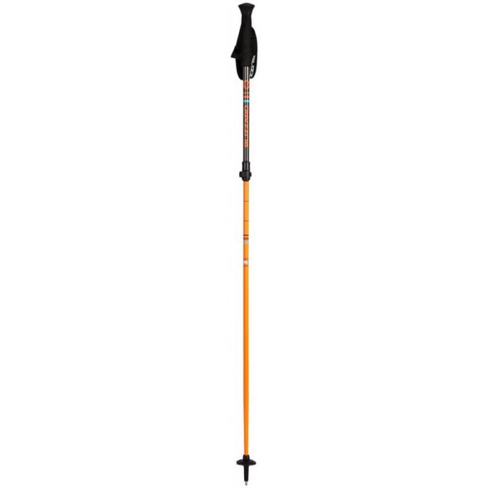 Палки лижні Blizzard Race telescopic