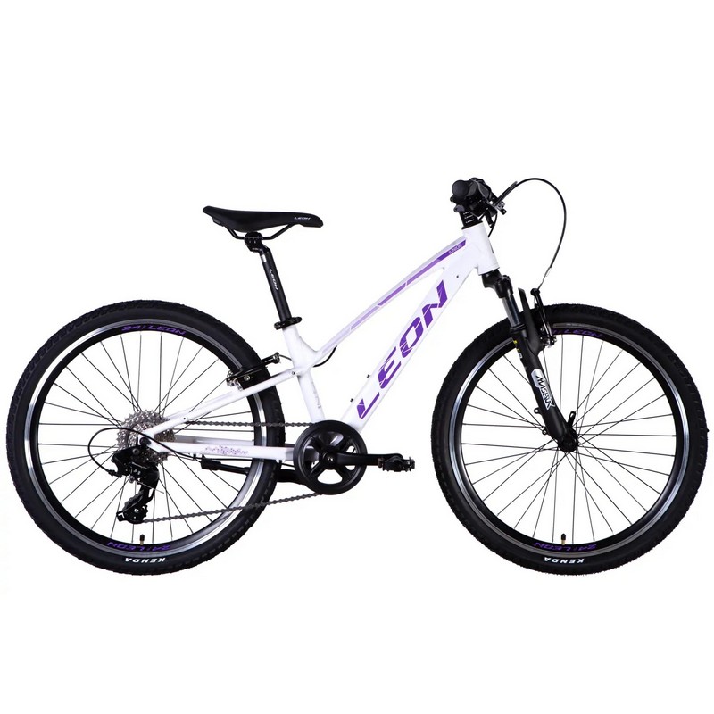 Leon JUNIOR AM Vbr CS