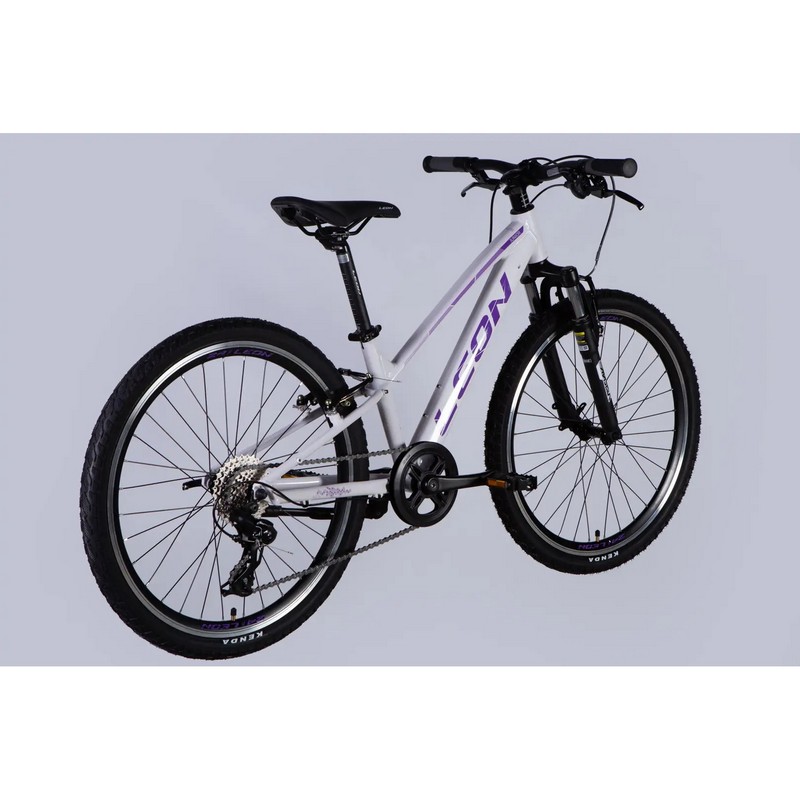 Leon JUNIOR AM Vbr CS