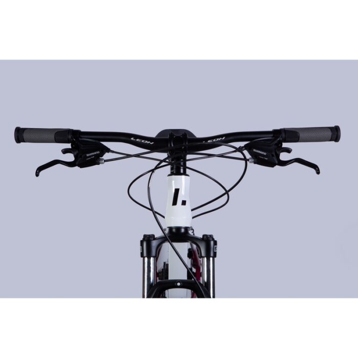 Leon XC LADY 105 DD