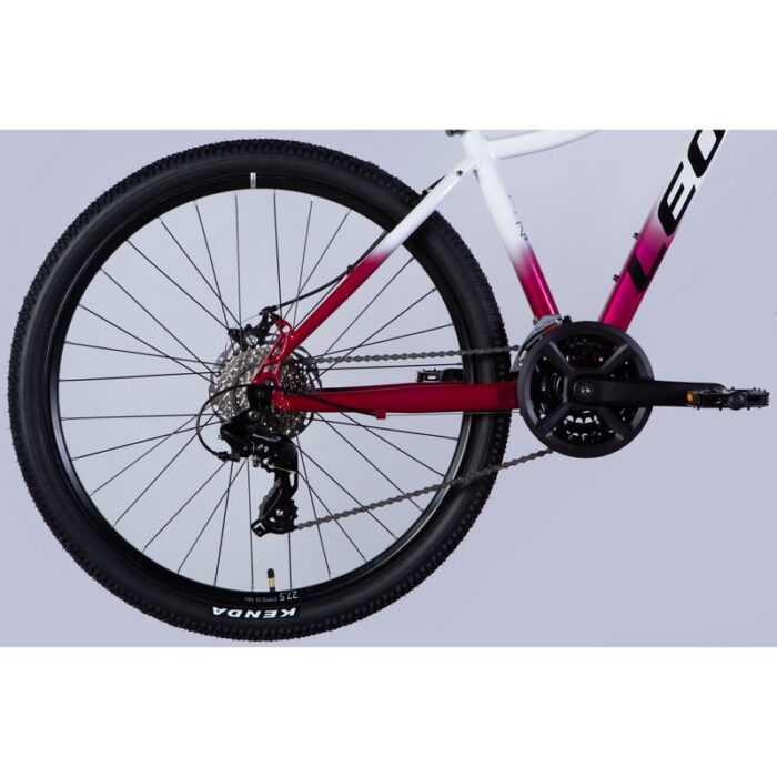 Leon XC LADY 105 DD