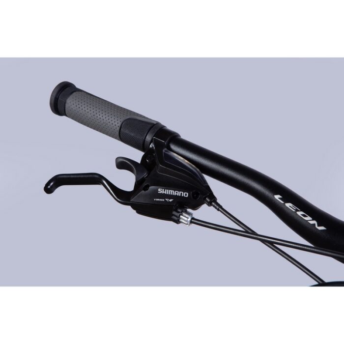 Leon XC LADY 105 DD